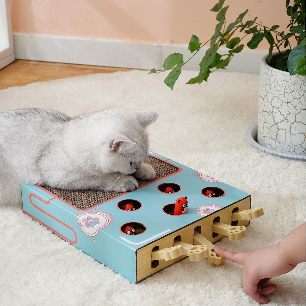 Cat scratch board, cat toy, whac-a-mole, corrugated paper, multi-functional pet cat, for cats, cats, cats
