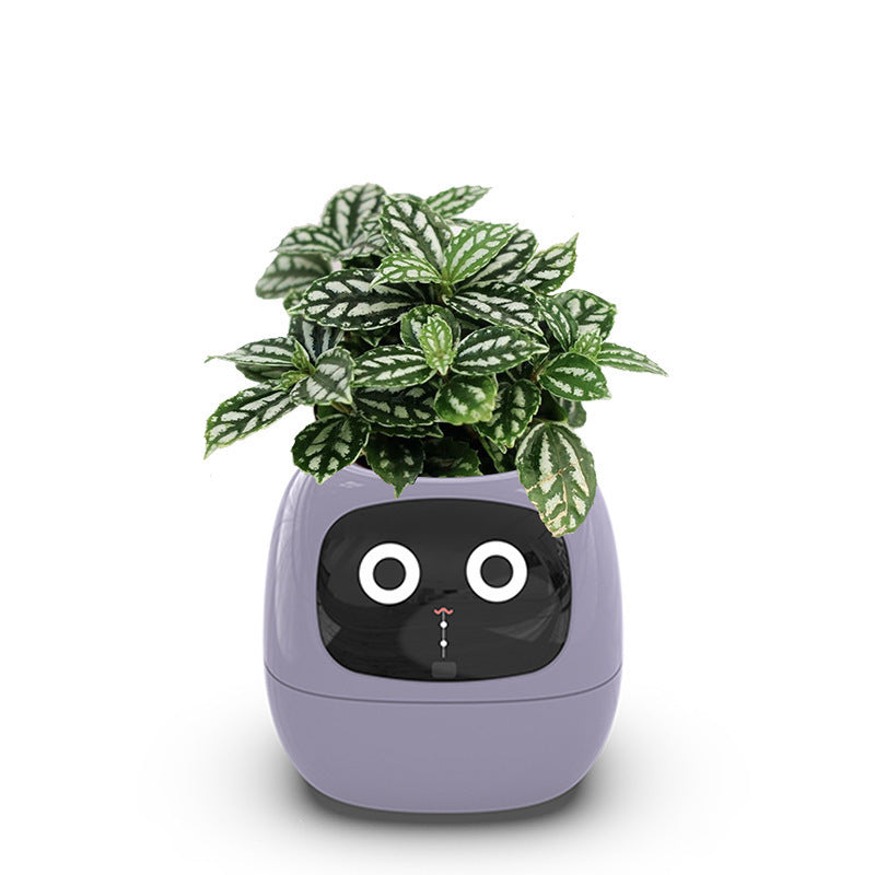 Intelligent lazy person automatic suction flower pot, plant plastic resin USB rechargeable indoor