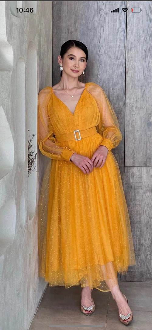 Foreign trade single summer new pure organza long-sleeved dress