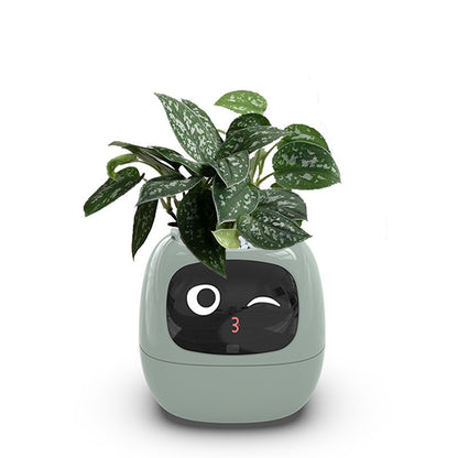 Intelligent lazy person automatic suction flower pot, plant plastic resin USB rechargeable indoor