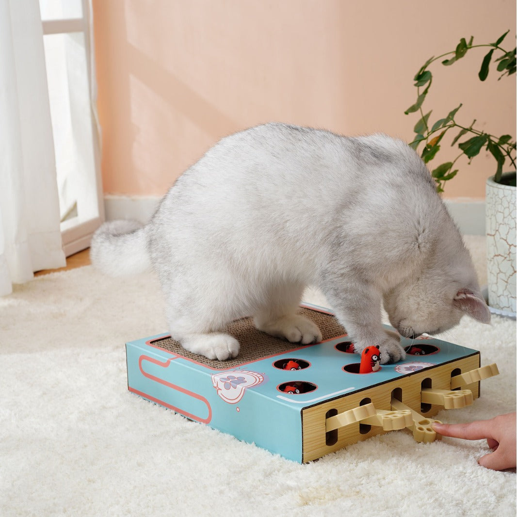 Cat scratch board, cat toy, whac-a-mole, corrugated paper, multi-functional pet cat, for cats, cats, cats