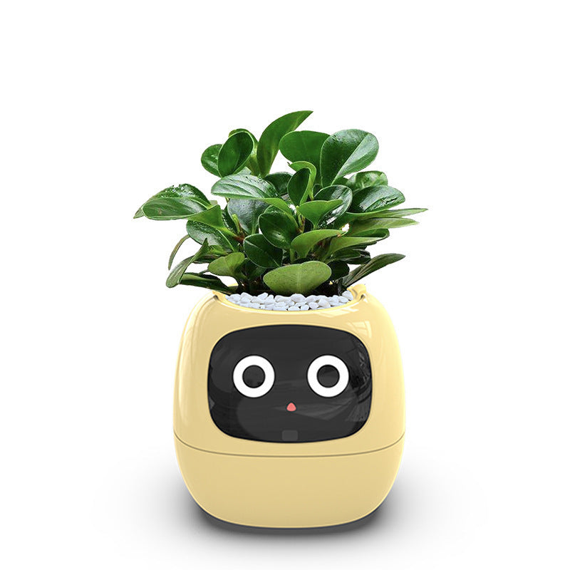 Intelligent lazy person automatic suction flower pot, plant plastic resin USB rechargeable indoor