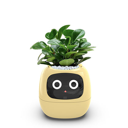 Intelligent lazy person automatic suction flower pot, plant plastic resin USB rechargeable indoor