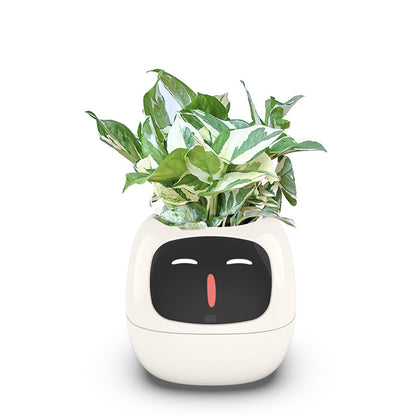 Intelligent lazy person automatic suction flower pot, plant plastic resin USB rechargeable indoor