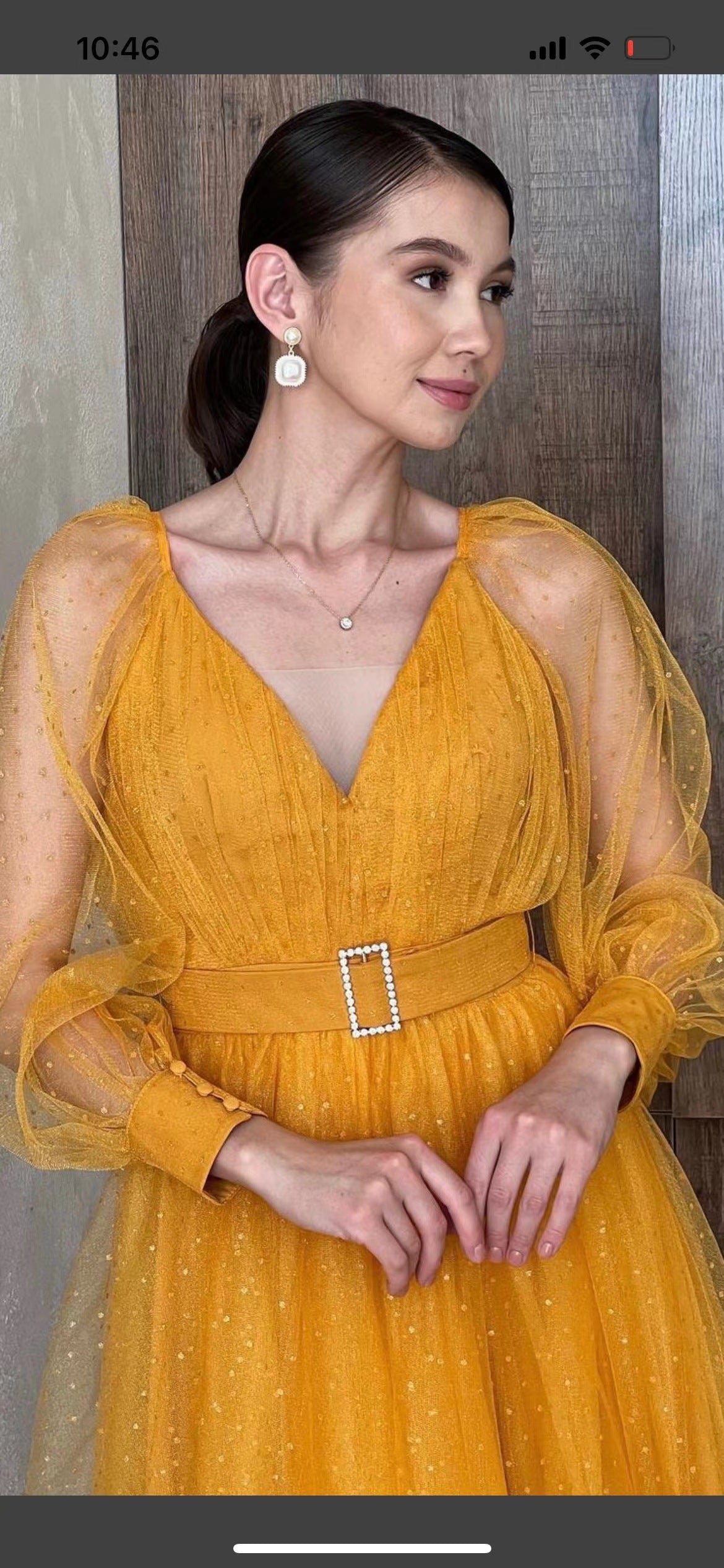Foreign trade single summer new pure organza long-sleeved dress