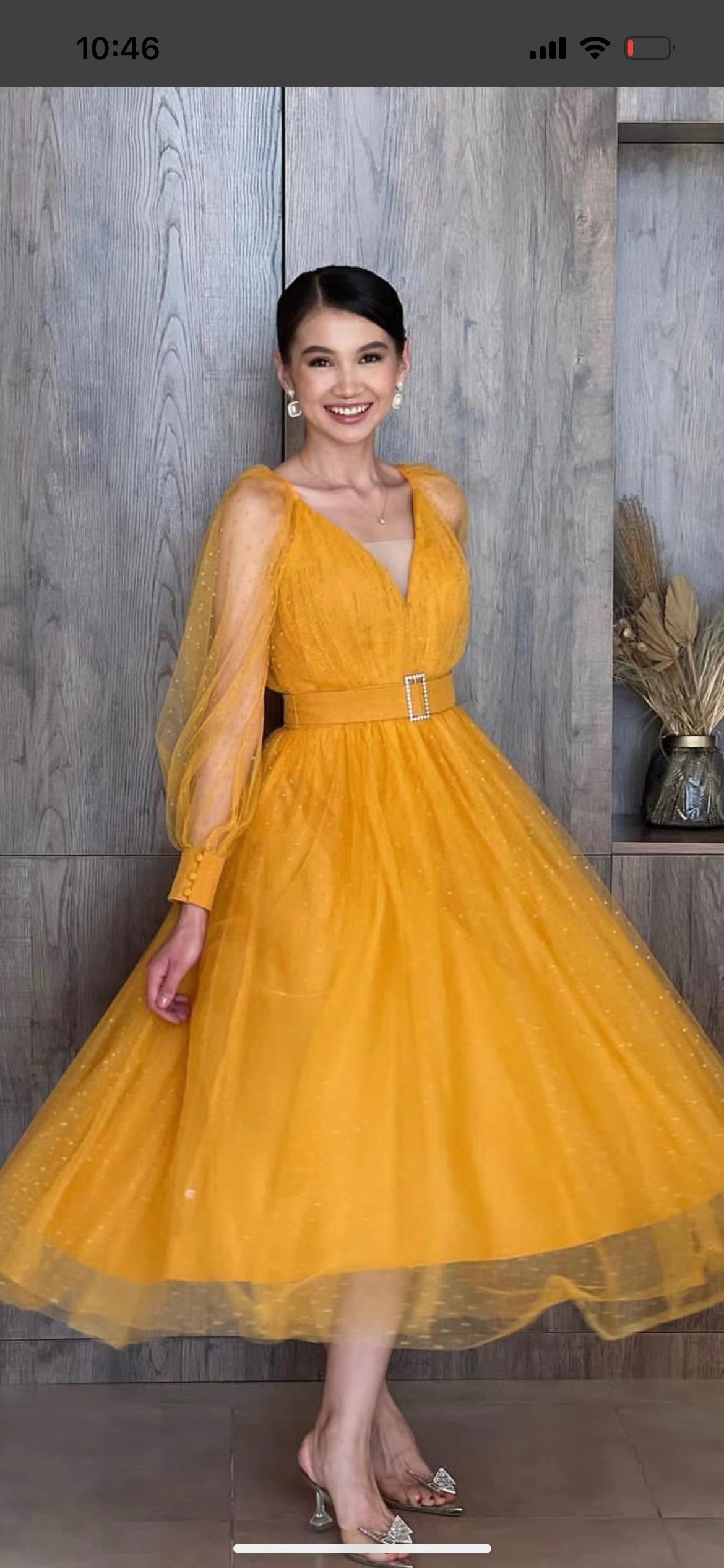Foreign trade single summer new pure organza long-sleeved dress